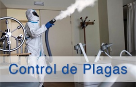 Servicio de Control de Plagas | Limpiezas Aqua